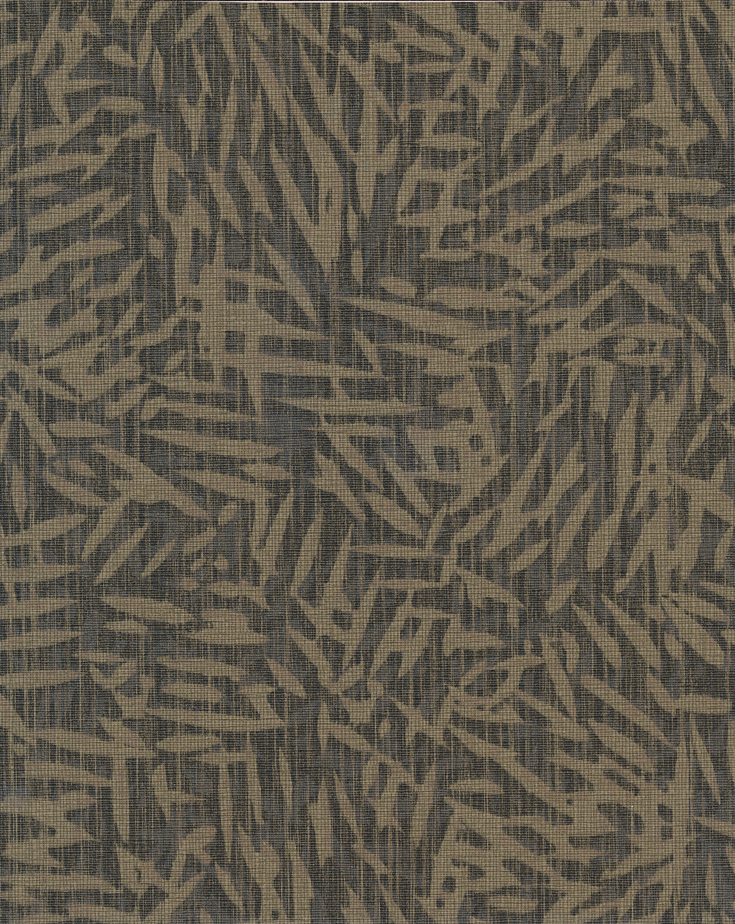 Laurus