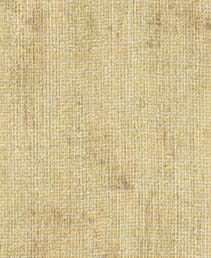 Linea