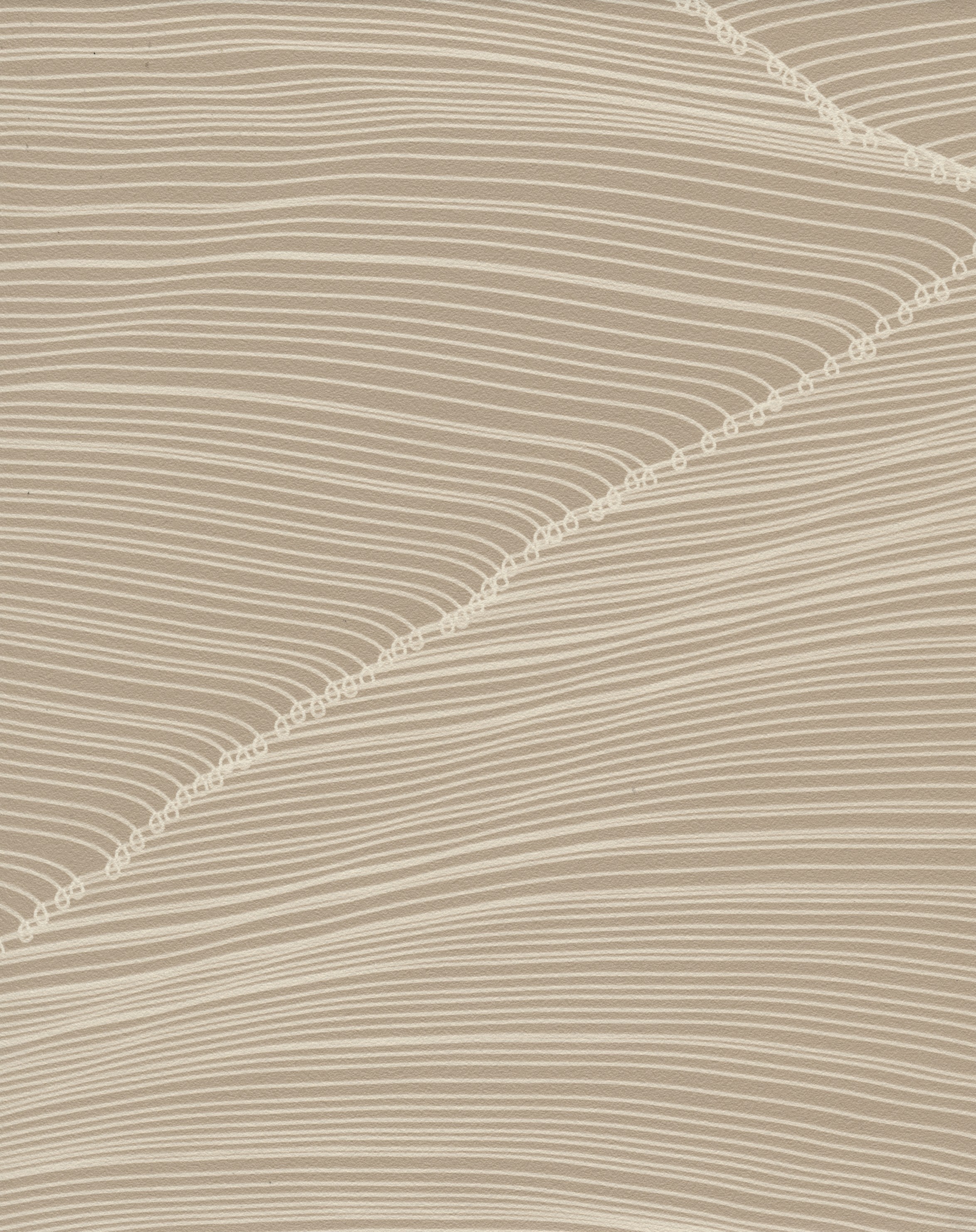 Dune
