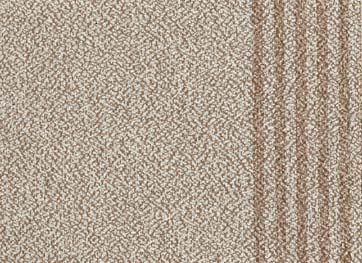 Icon Stripe