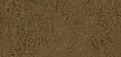 Fossil