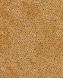 Silk Brocade