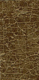 Sahara