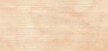 Distressed Silk