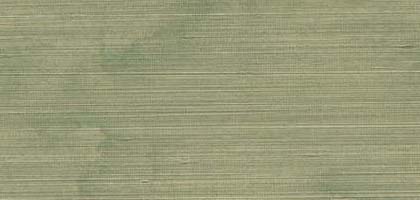 Distressed Silk