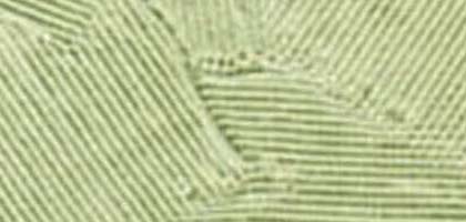 Intaglio