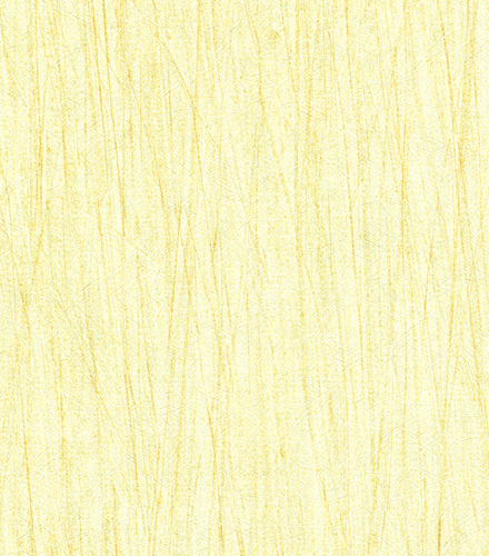 Surface B