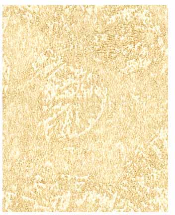 Fossil