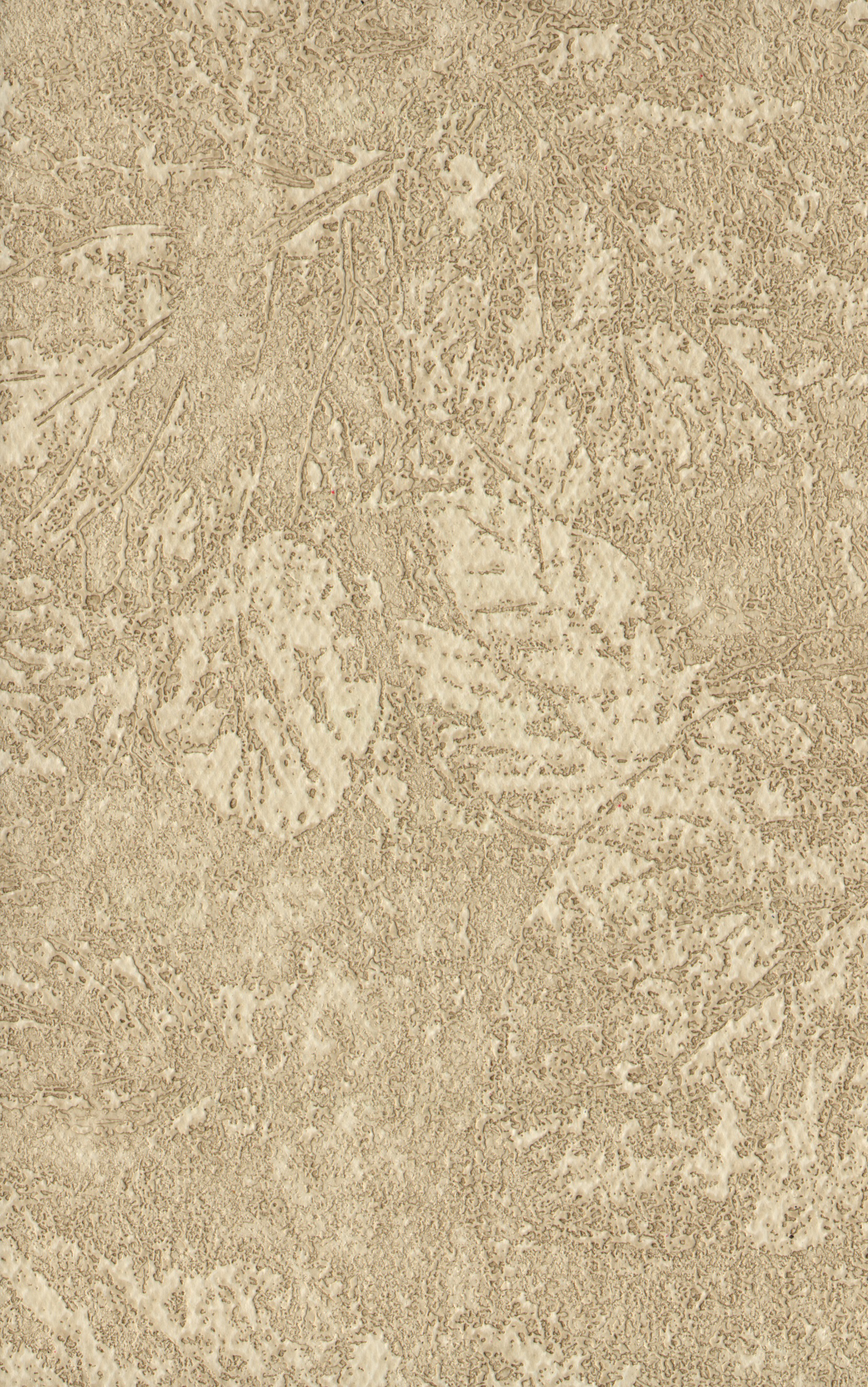 Fossil