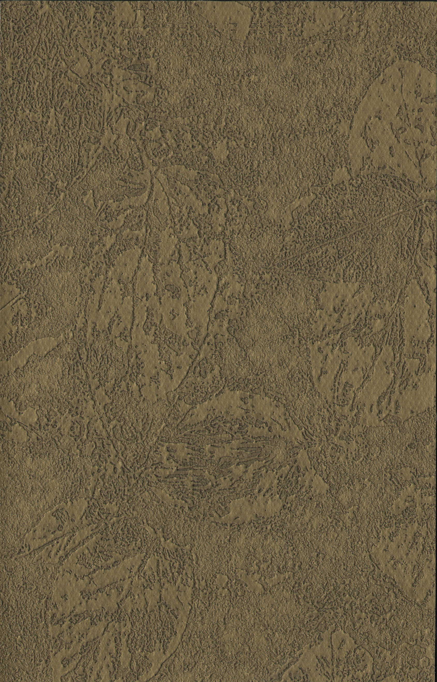 Fossil