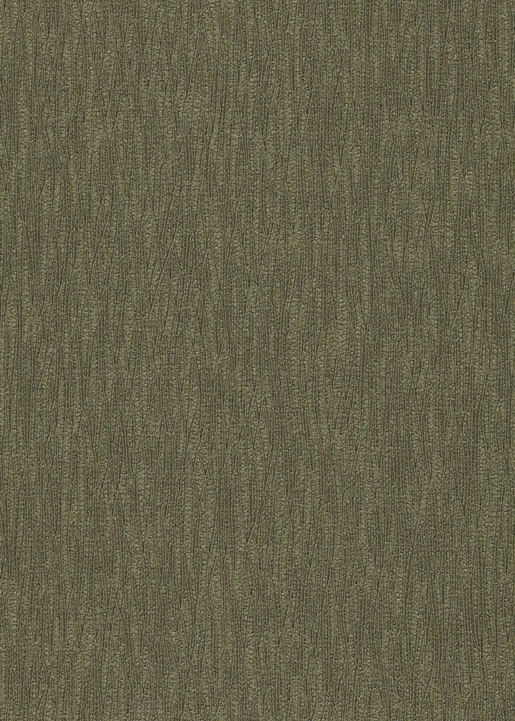 Nori