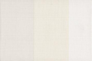 Surface Stripe