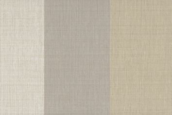 Surface Stripe