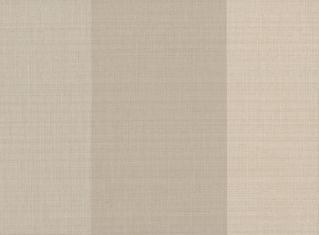 Surface Stripe