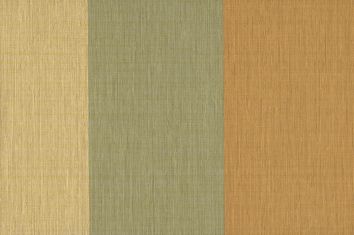 Surface Stripe