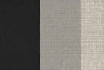 Surface Stripe