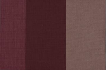 Surface Stripe