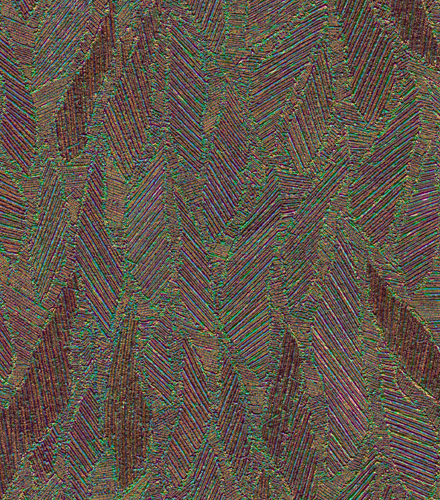 Fauna