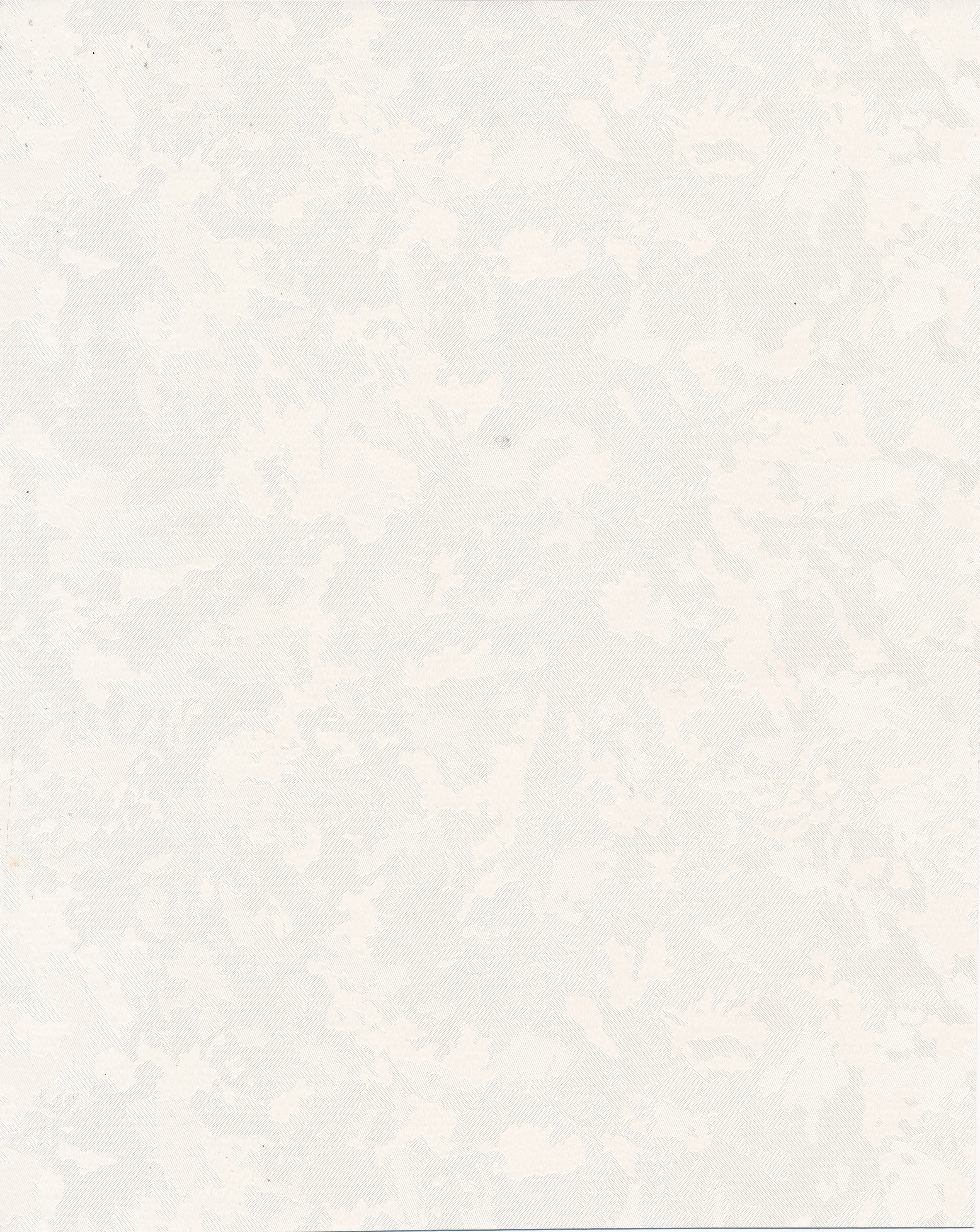 Silk Brocade