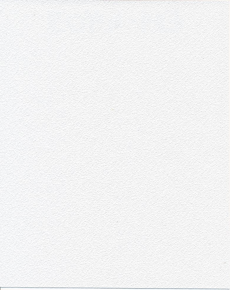 Adobe Texture