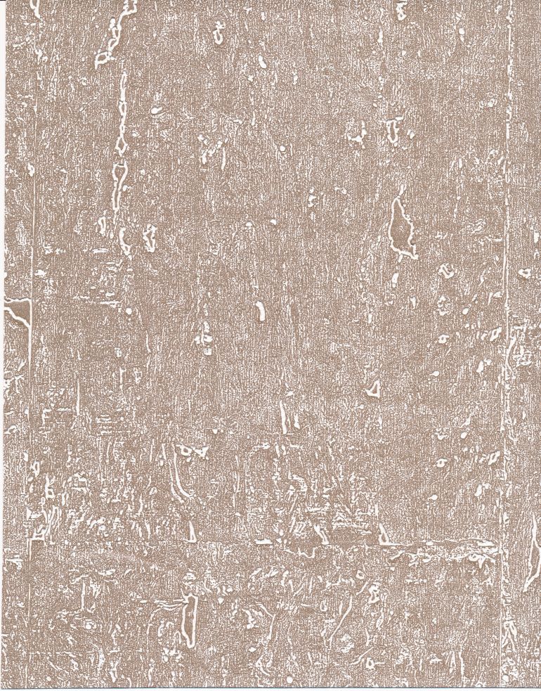 Cork Board