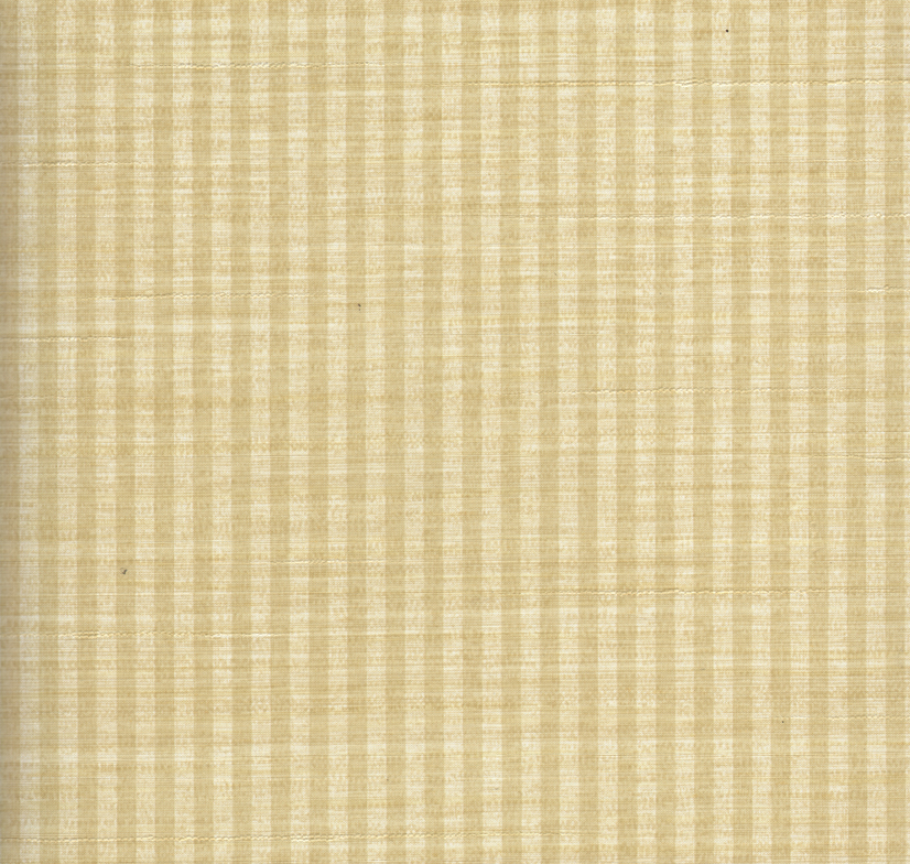 Omni Stripe