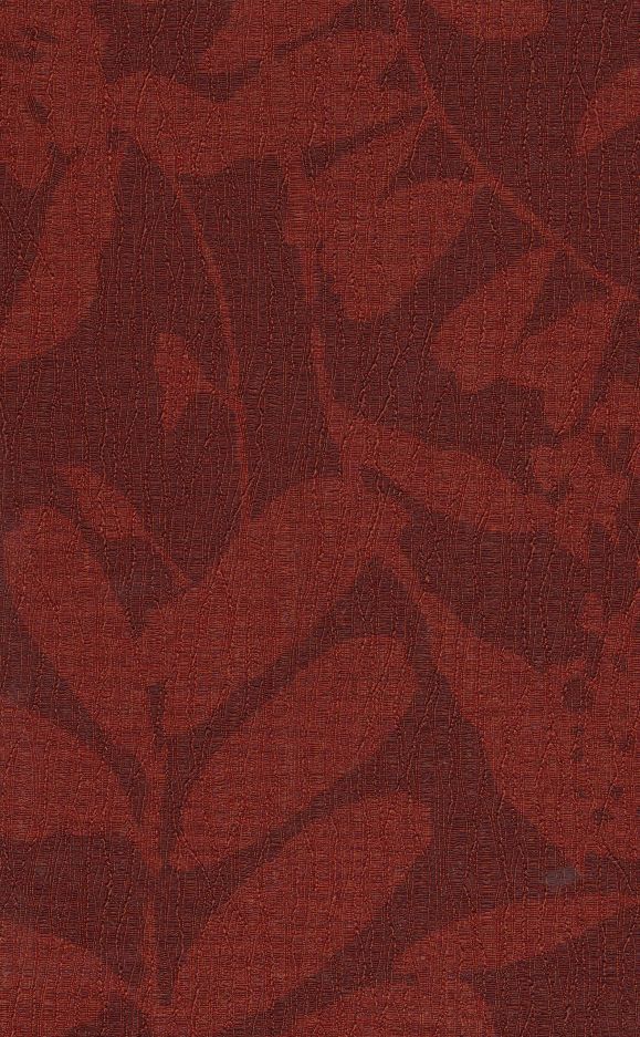 Zephyr Floral