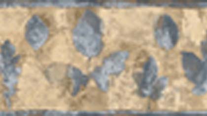 Border