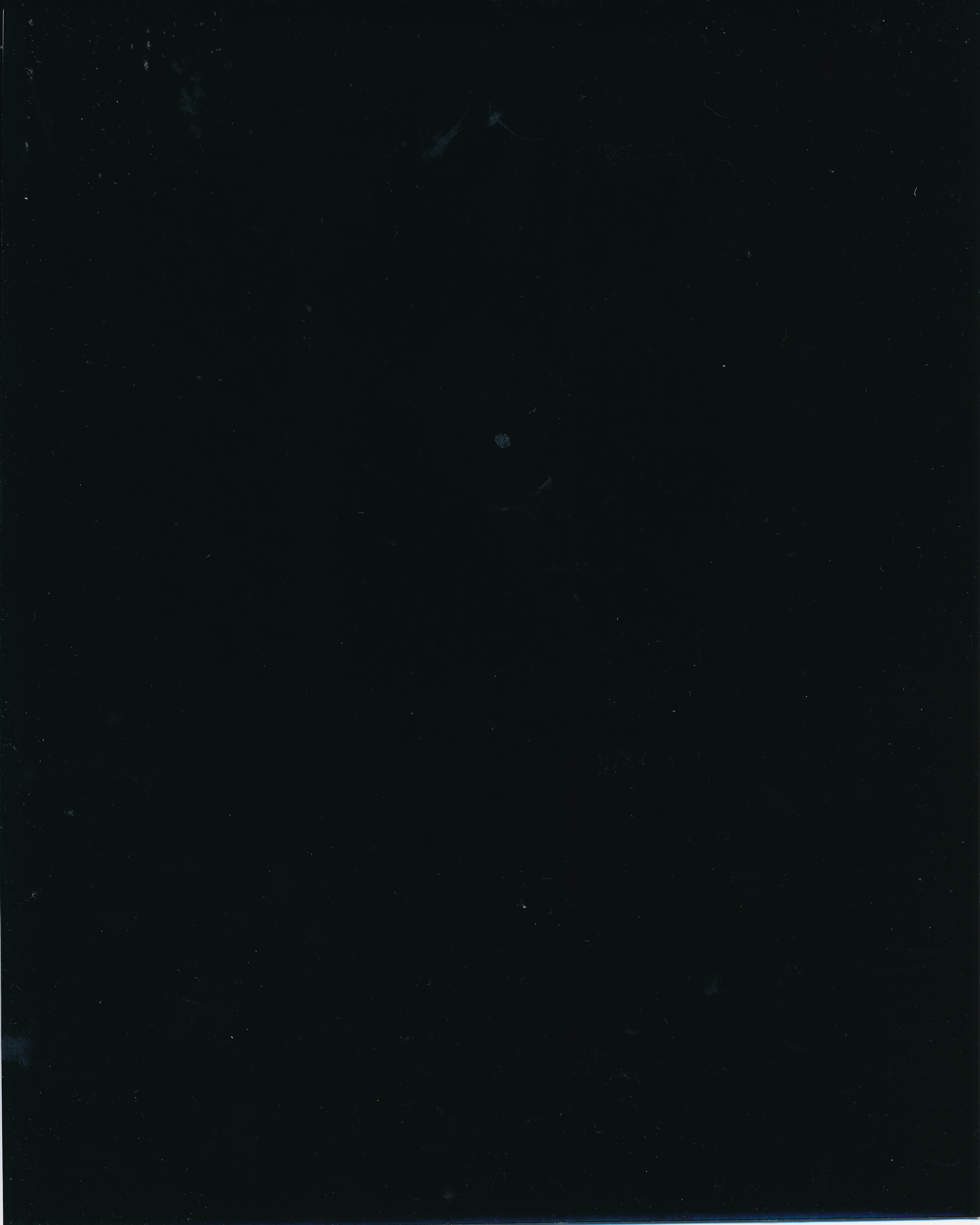 Black Polish Digital