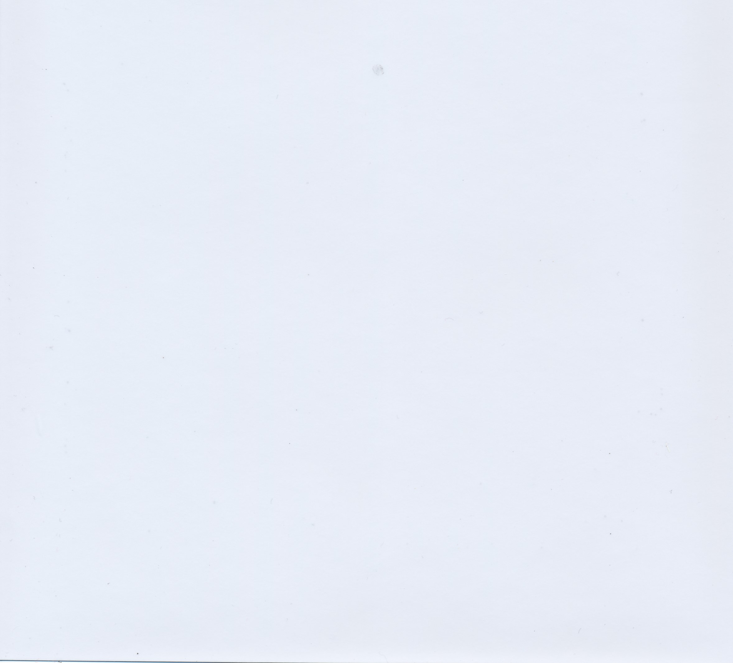 White Polish - Digital