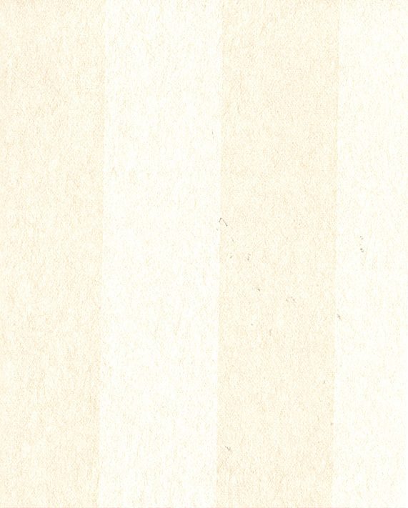 Classic Stripe