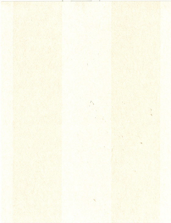 Classic Stripe