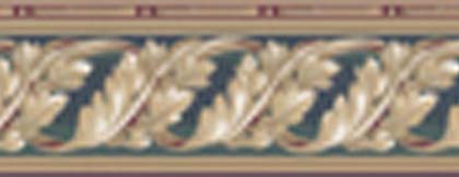 Caroline Border