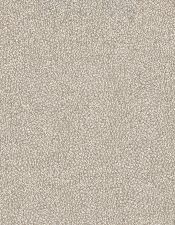 Dottified