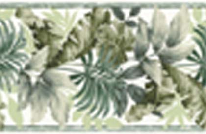 Border
