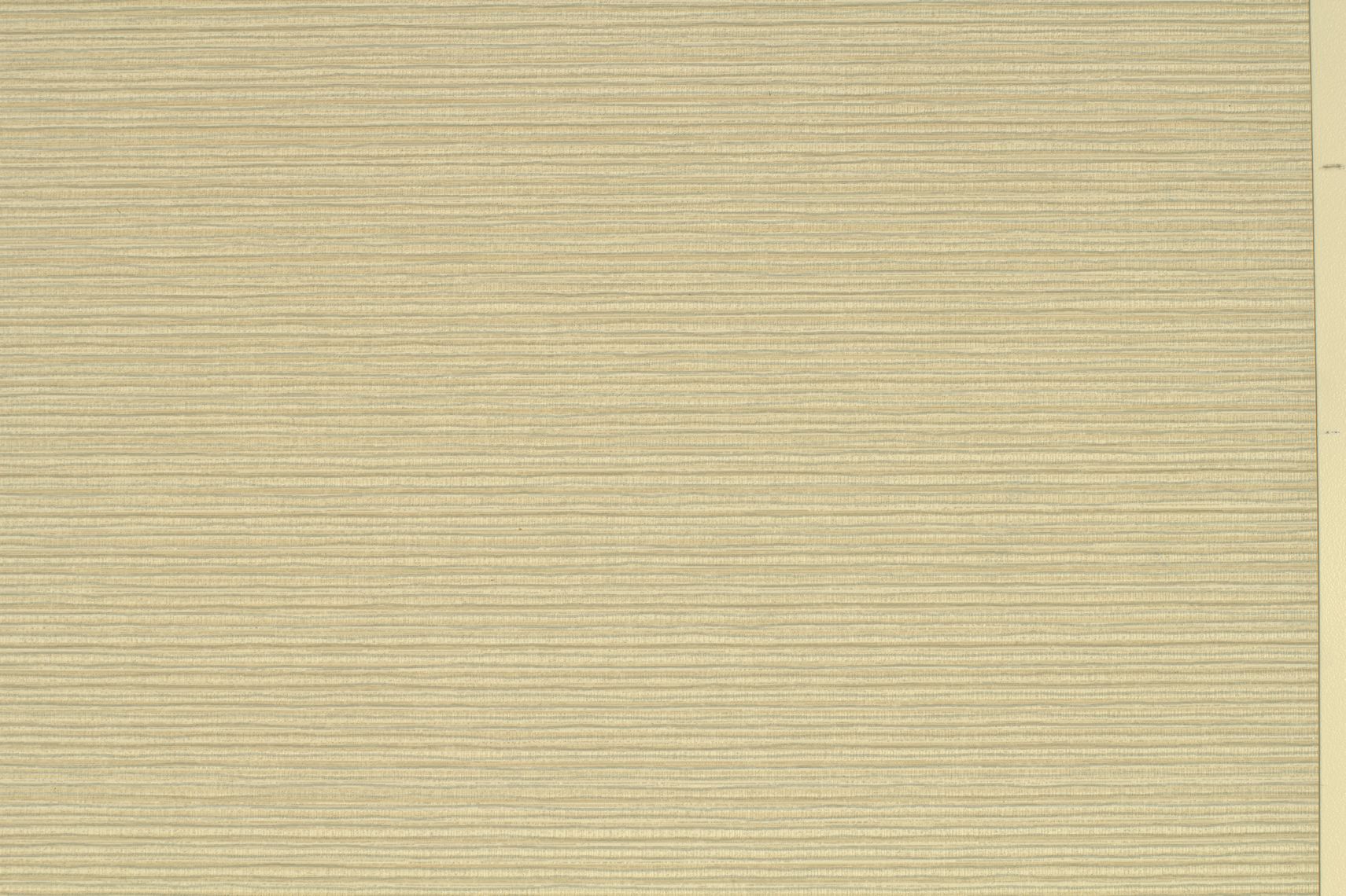 Inzo Texture