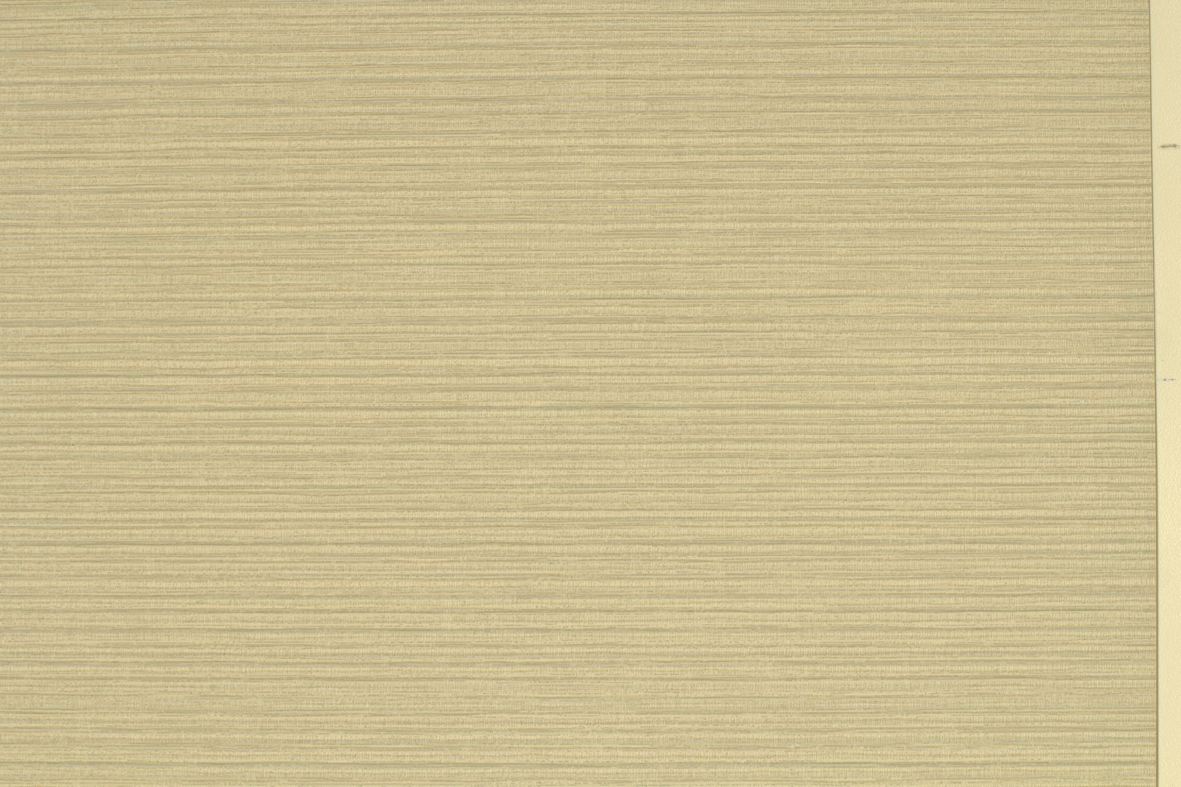 Inzo Texture