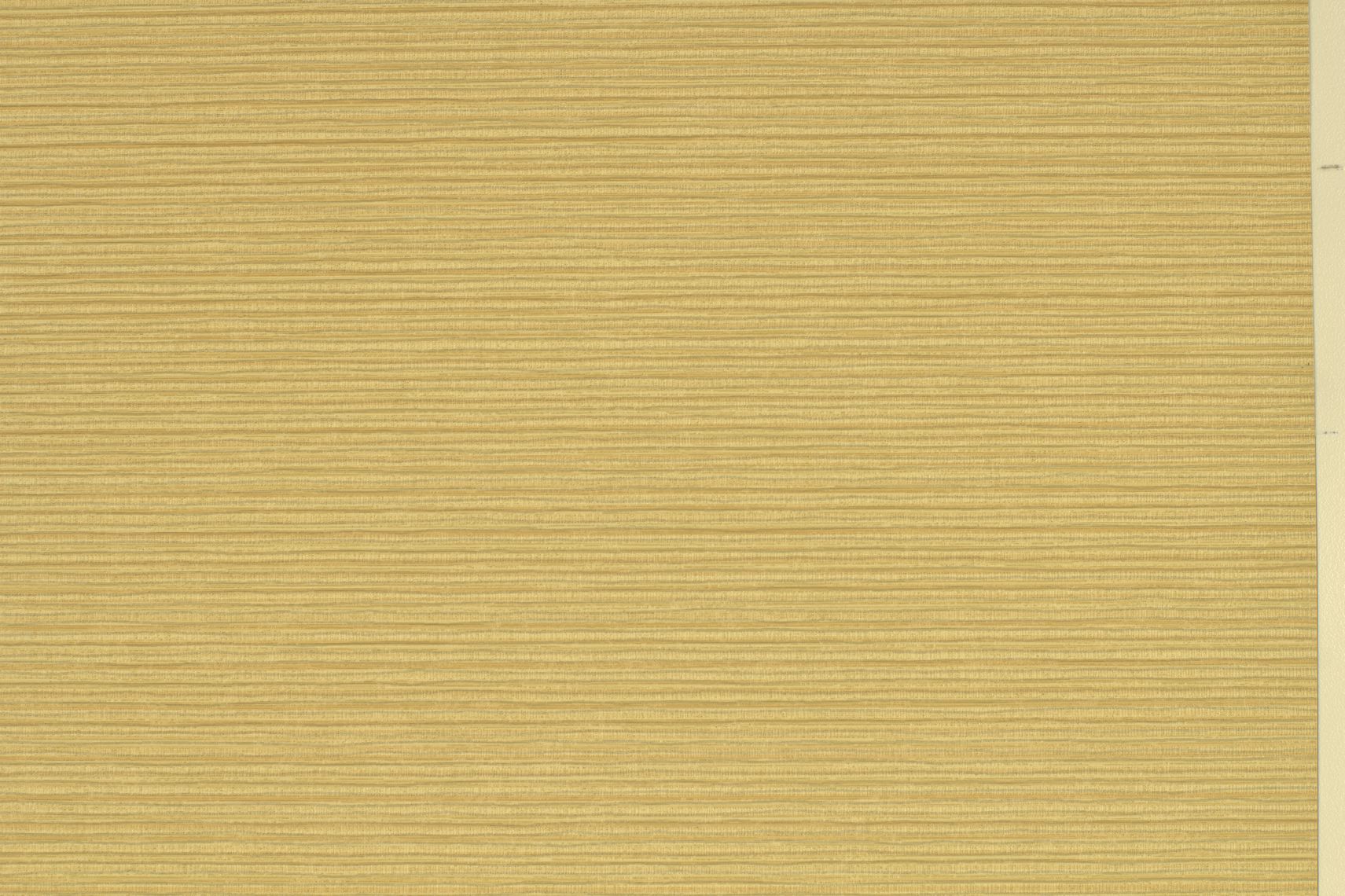 Inzo Texture