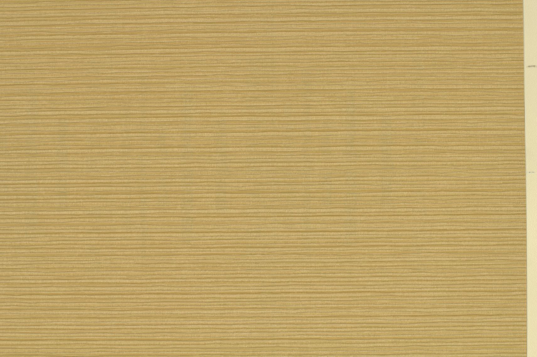 Inzo Texture
