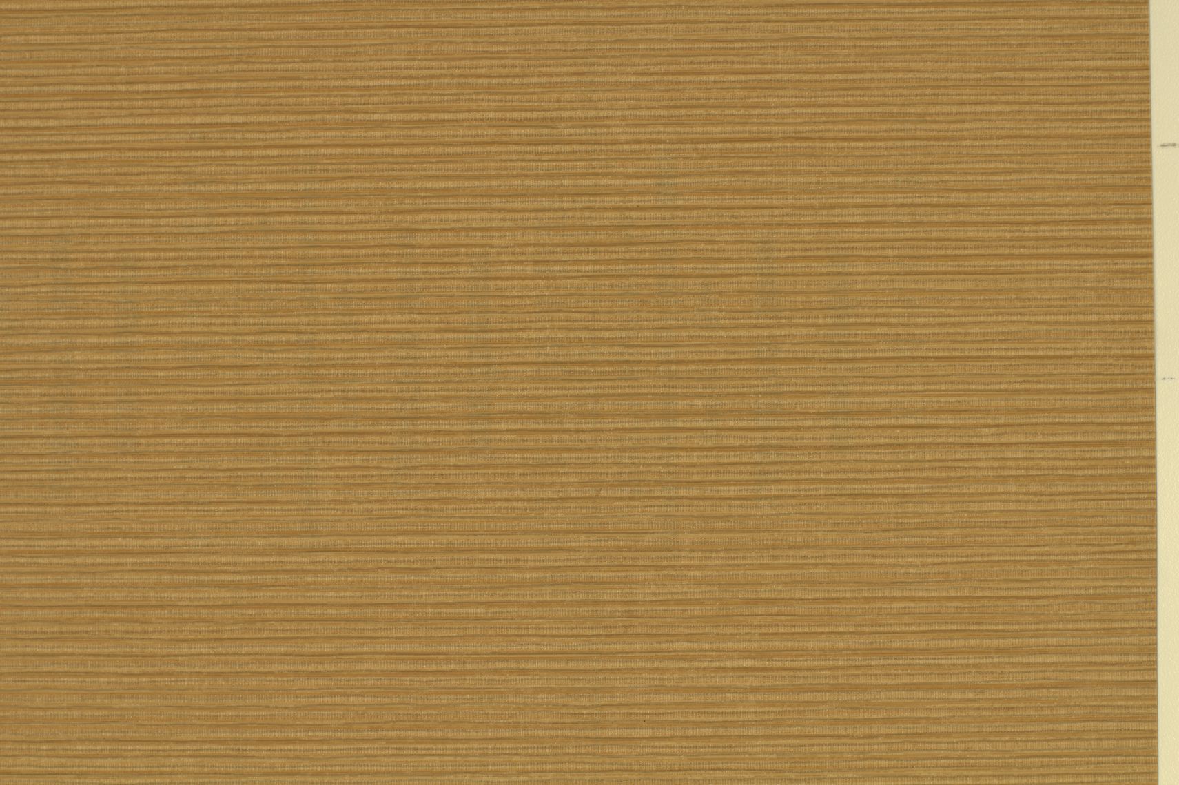 Inzo Texture