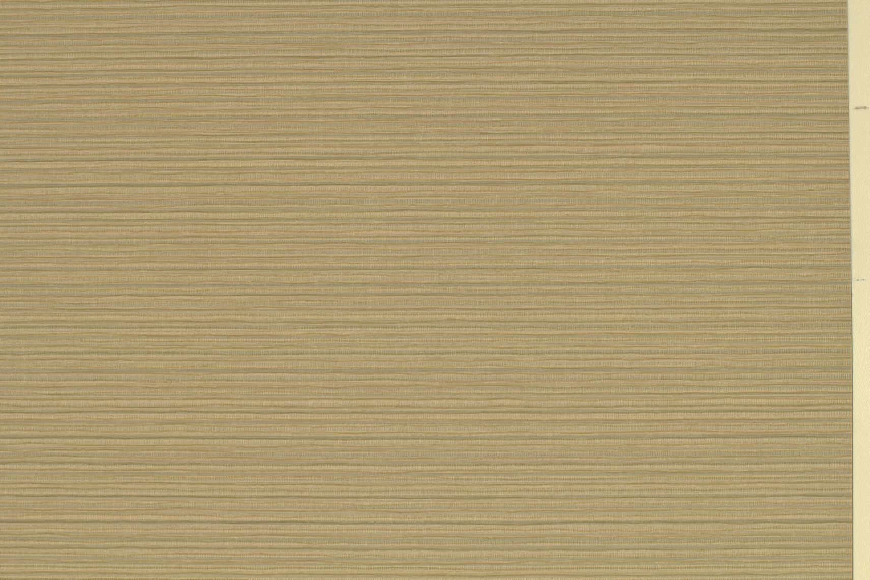 Inzo Texture