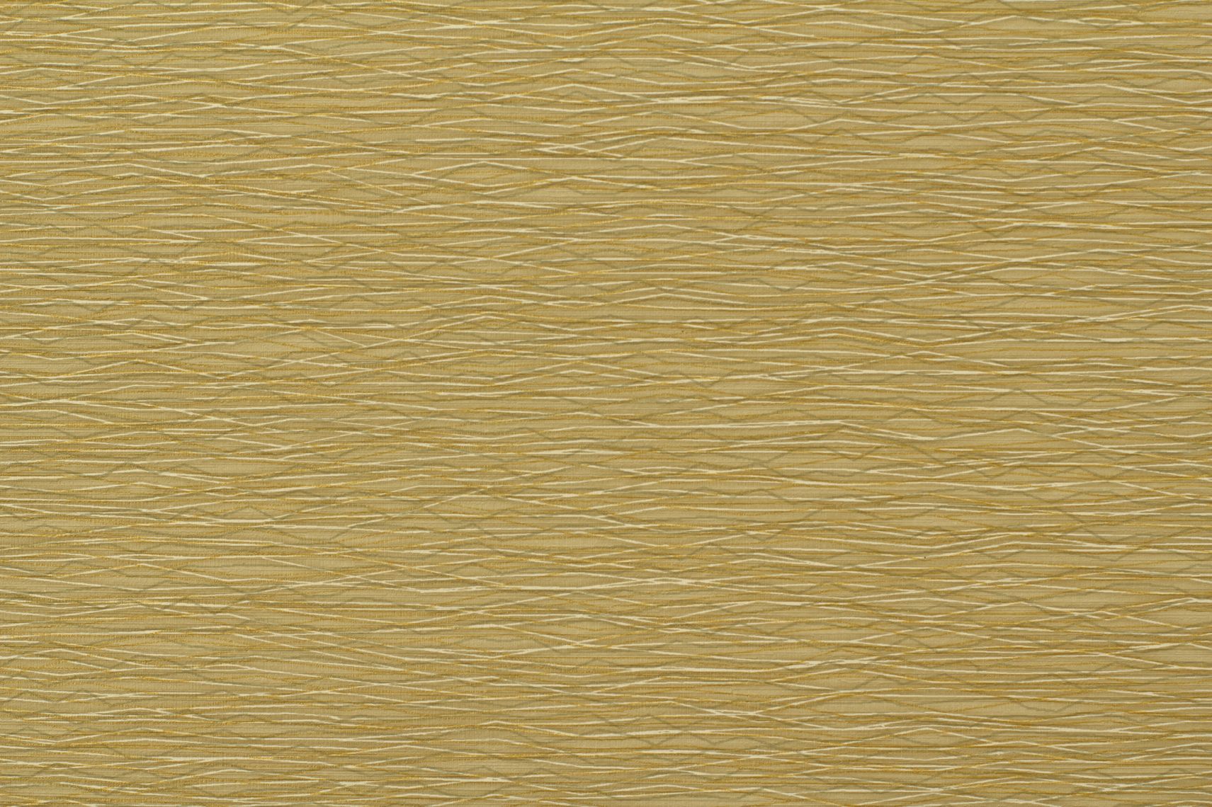 Senato