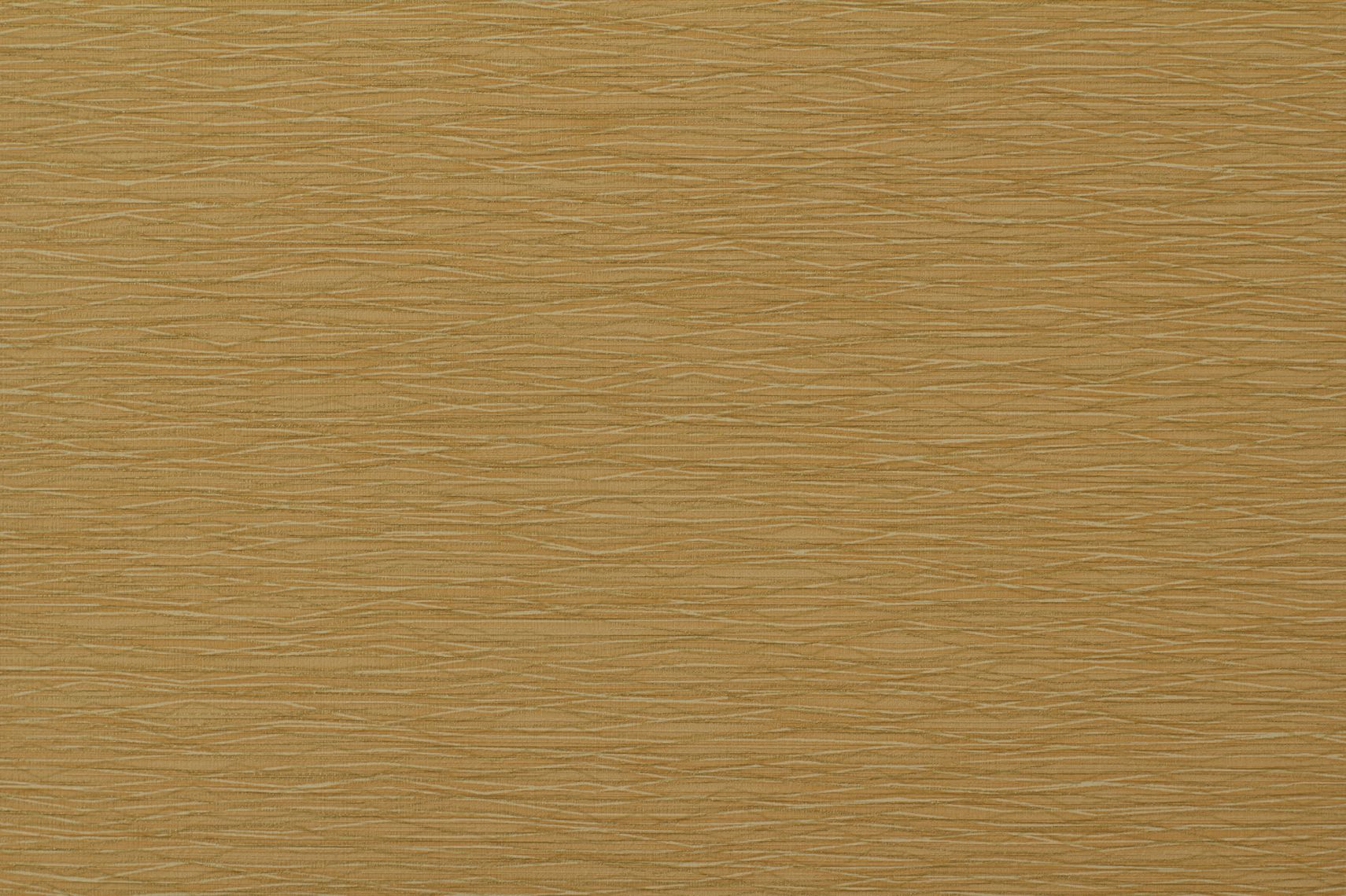 Senato
