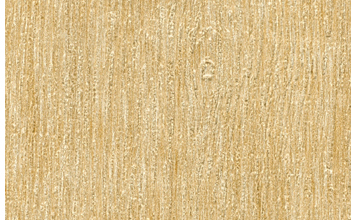 Barn Door