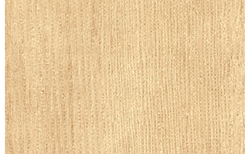 Barn Door