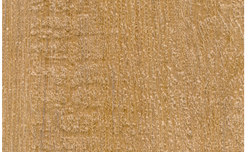 Barn Door