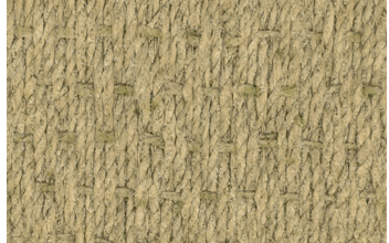 Seagrass