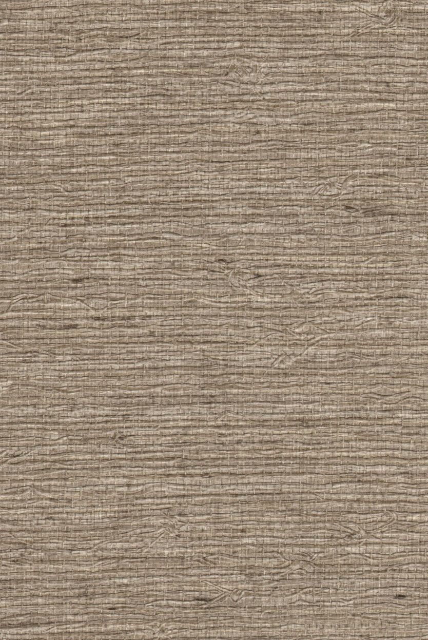 Arrowroot