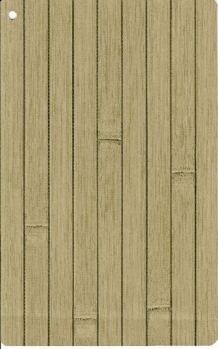Bamboo Forest