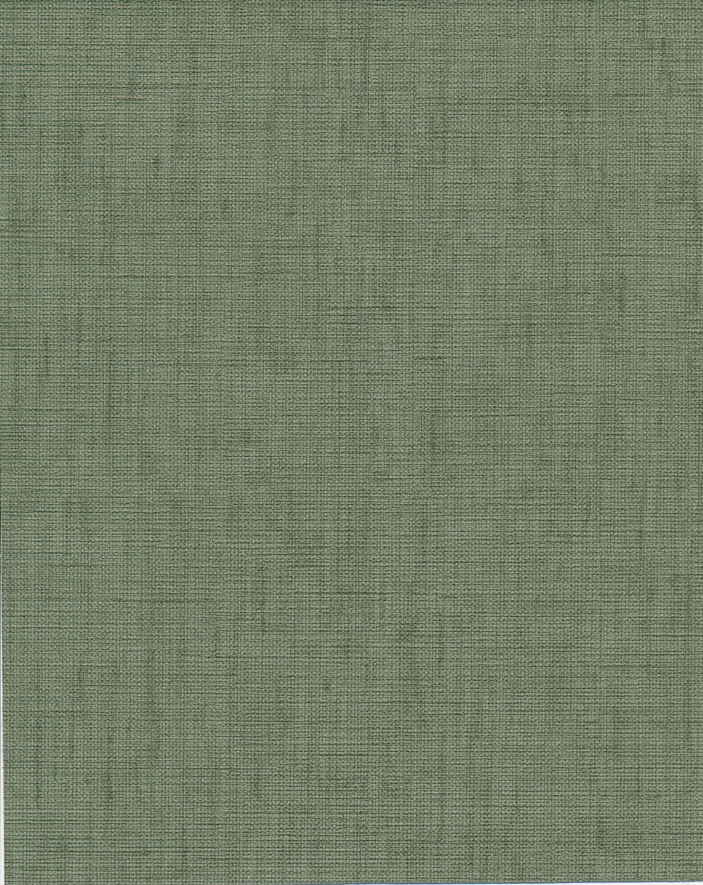 Tropical Texture
